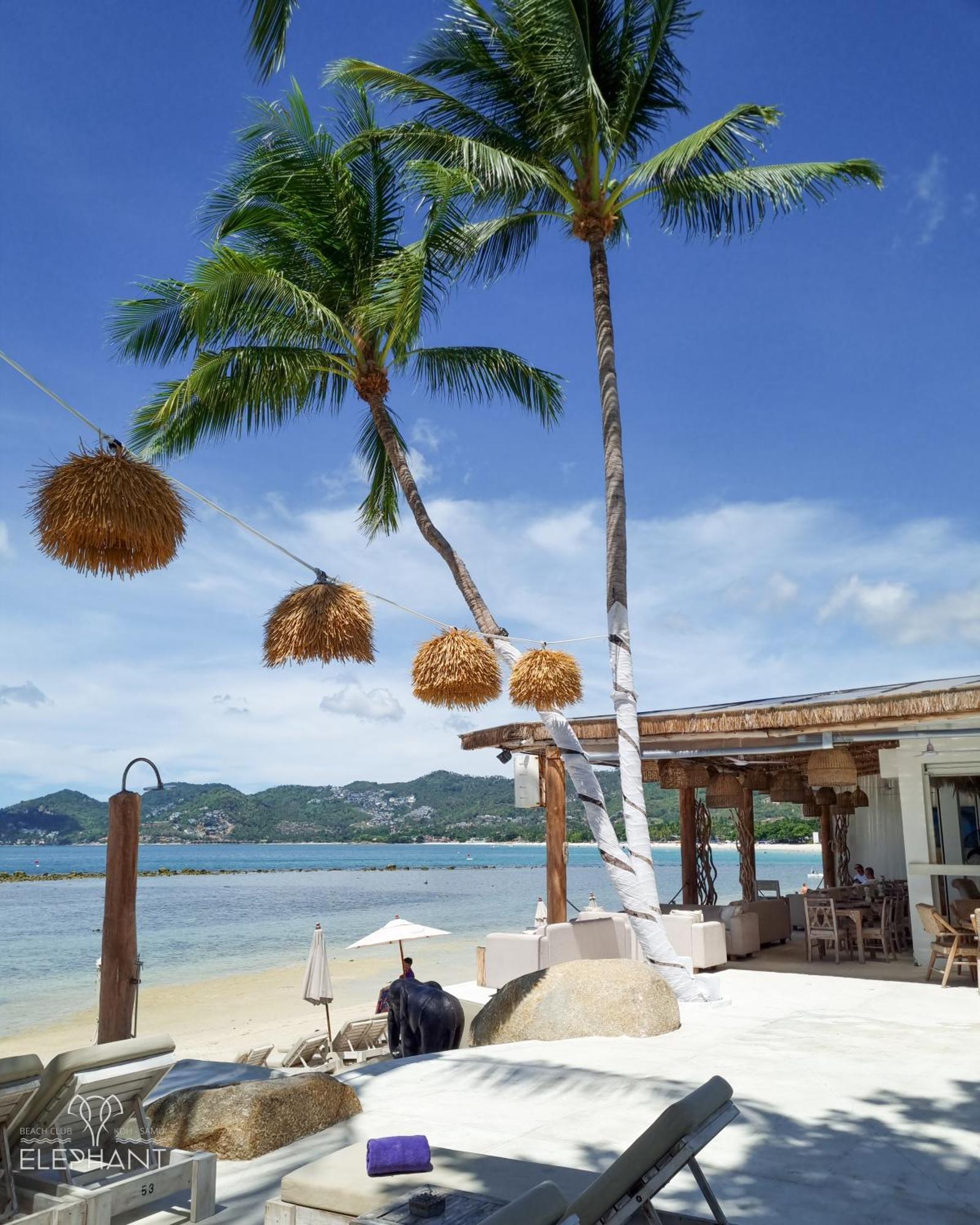 Elephant Beach Club & Resort Samui Παραλία Σαγουένγκ Εξωτερικό φωτογραφία
