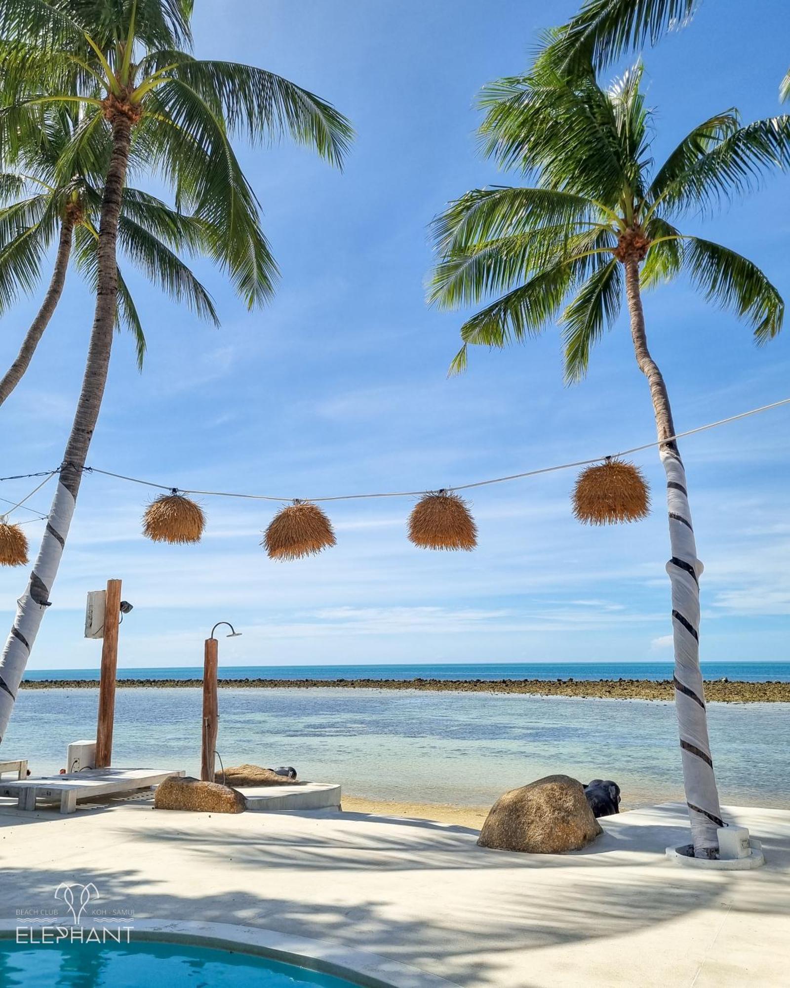 Elephant Beach Club & Resort Samui Παραλία Σαγουένγκ Εξωτερικό φωτογραφία